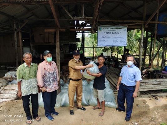 Kegiatan Restorasi dalam rangka konservasi bahan pustaka